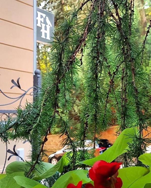 Ferdinandhof Apart-Hotel - Resim 40