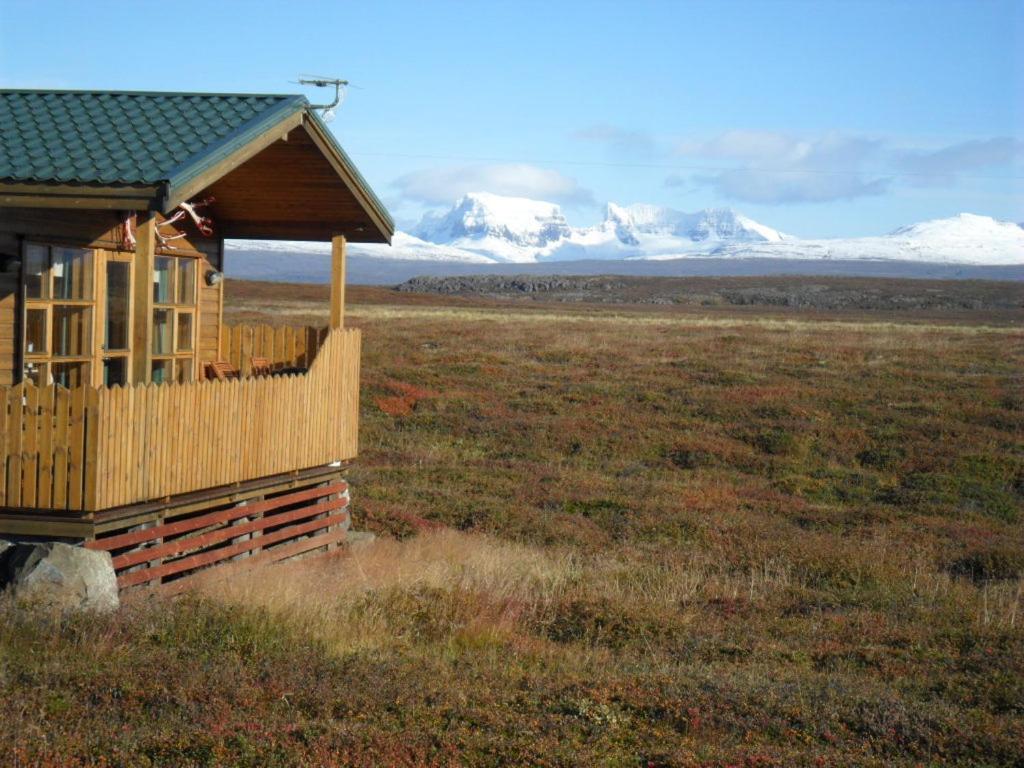 Náttúran í nágrenni sumarhússins