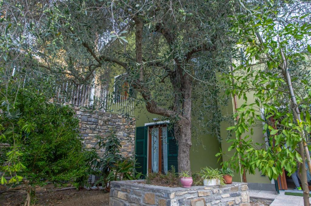 Vonkajšia záhrada v ubytovaní Appartamenti Arco Antico