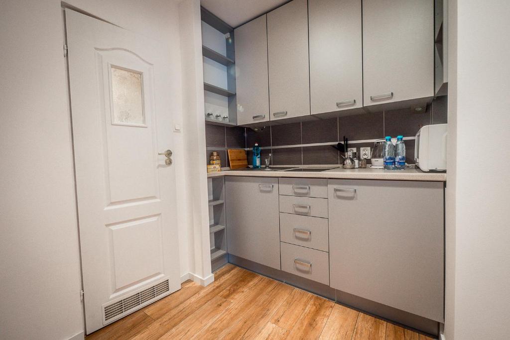 Kuchyňa alebo kuchynka v ubytovaní FUDA APARTAMENT DZIECI WRZESIŃSKICH 6/1/1