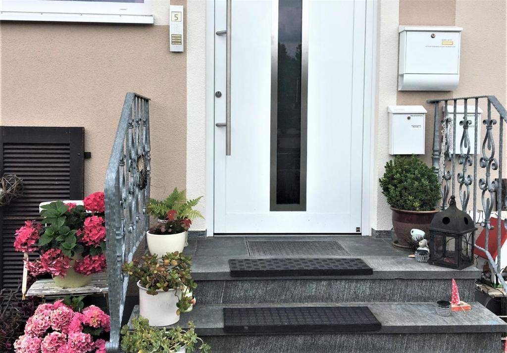 a white front door with potted plants on the steps at Eulennestle in Lenzkirch