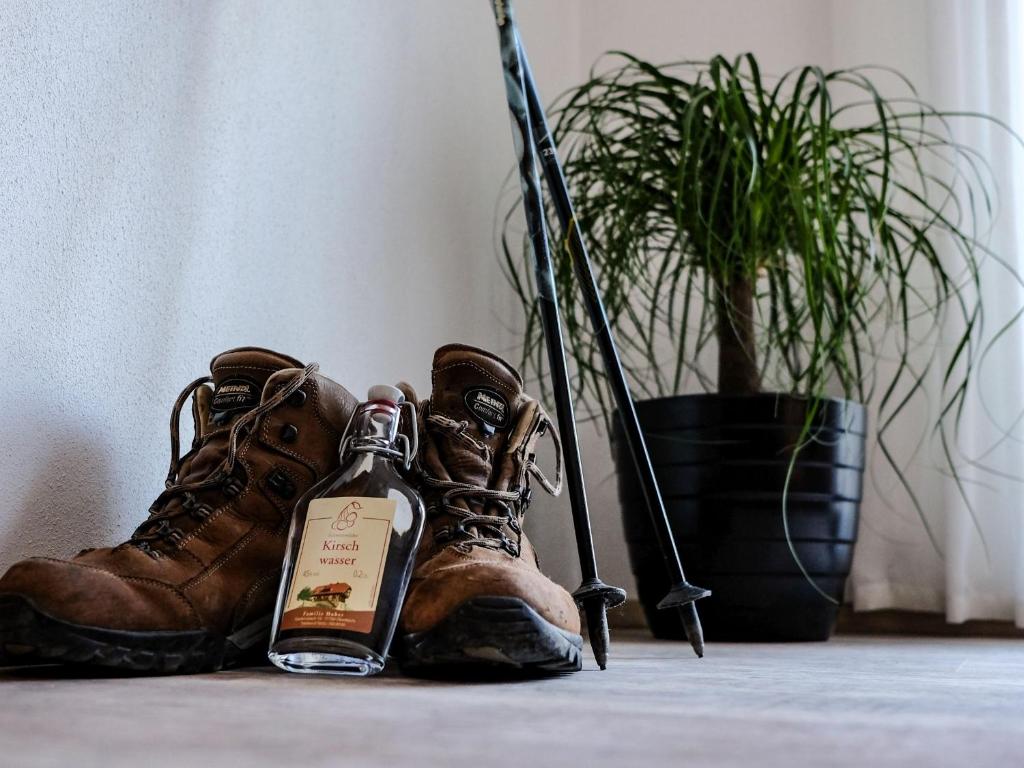 Fotografie z fotogalerie ubytování Ferienwohnungen Giedensbach v destinaci Oberkirch