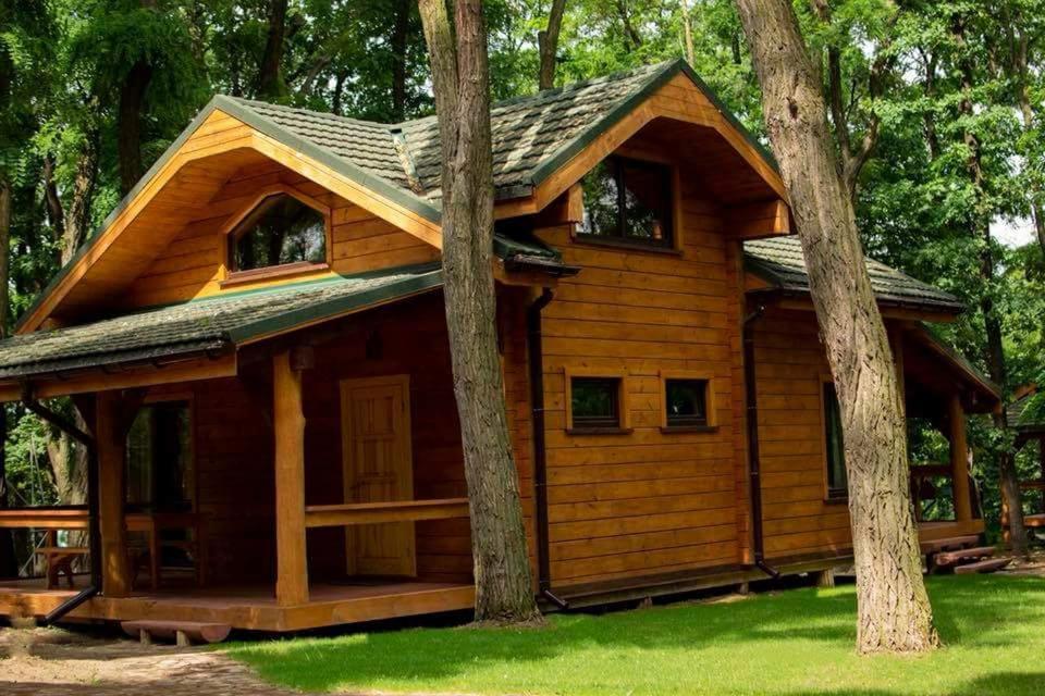 a log cabin in the woods with trees at GOL&Wood in Stepashki