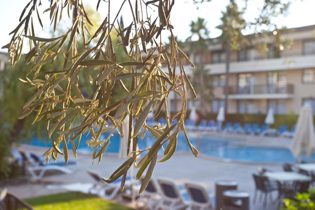 Bazén v ubytovaní Hotel Bahia Pollensa alebo v jeho blízkosti