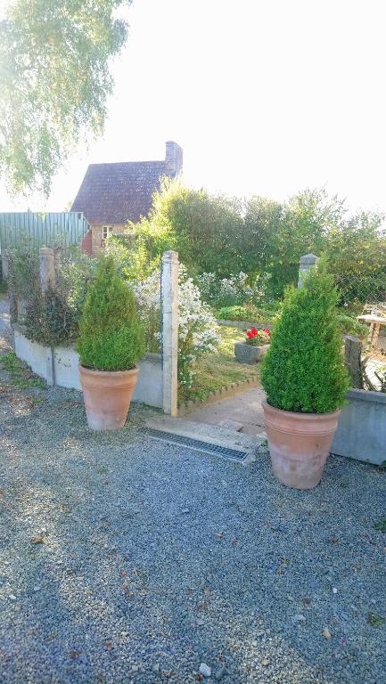Zahrada ubytování Frenes B&B