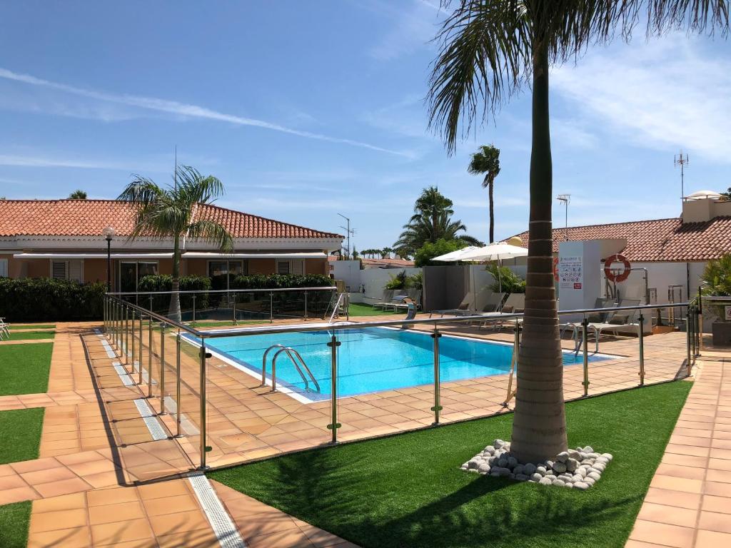 a swimming pool with a palm tree next to a building at Los Leones Bungalows in Maspalomas