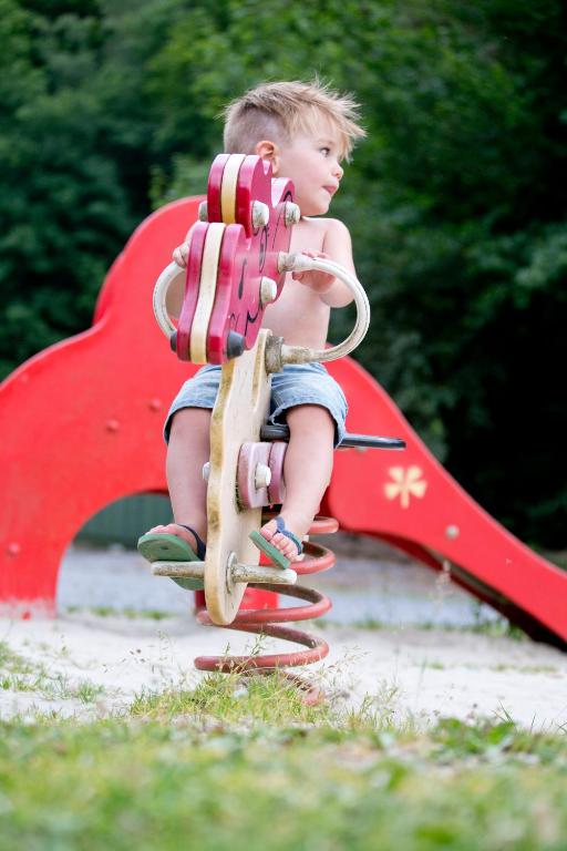 a young boy is riding on a skateboard on a slide at Domaine Long Pre in Stavelot