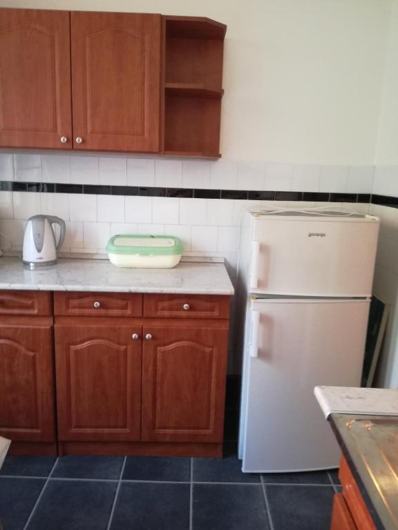 Szatmari Apartman - Two-Bedroom Apartment