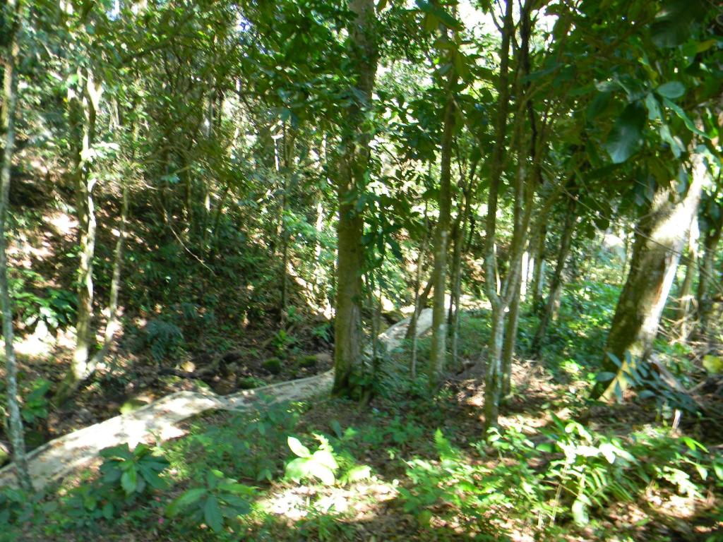  Sorocotuba III Guaruja