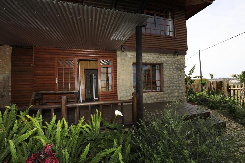 Big Tree House Lodge - Image 13