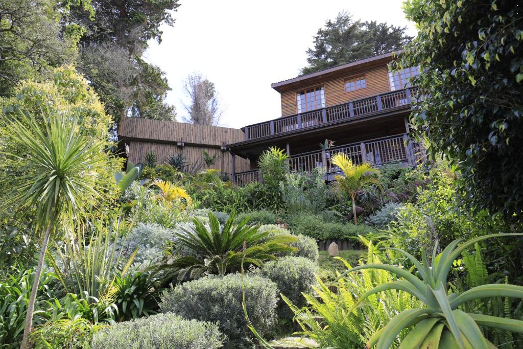 Big Tree House Lodge - Image 12