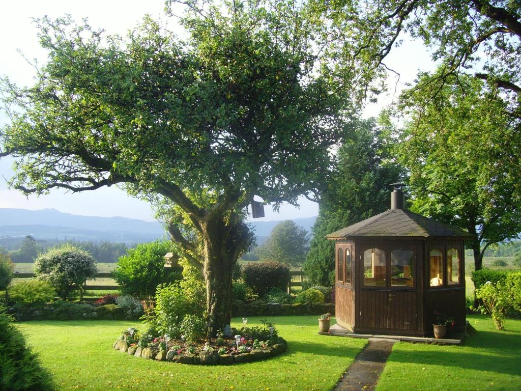 una pequeña casa en un patio con un árbol en Lower Balwill en Buchlyvie