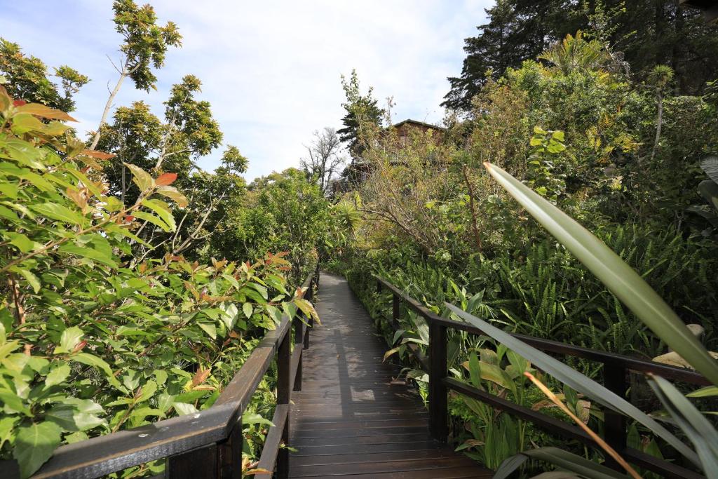 Big Tree House Lodge - Image 8