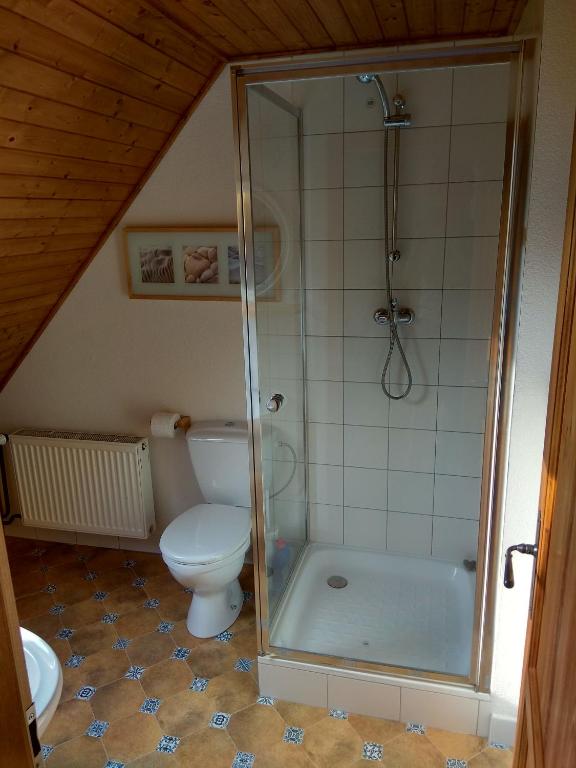 Koupelna v ubytování Dům na návsi