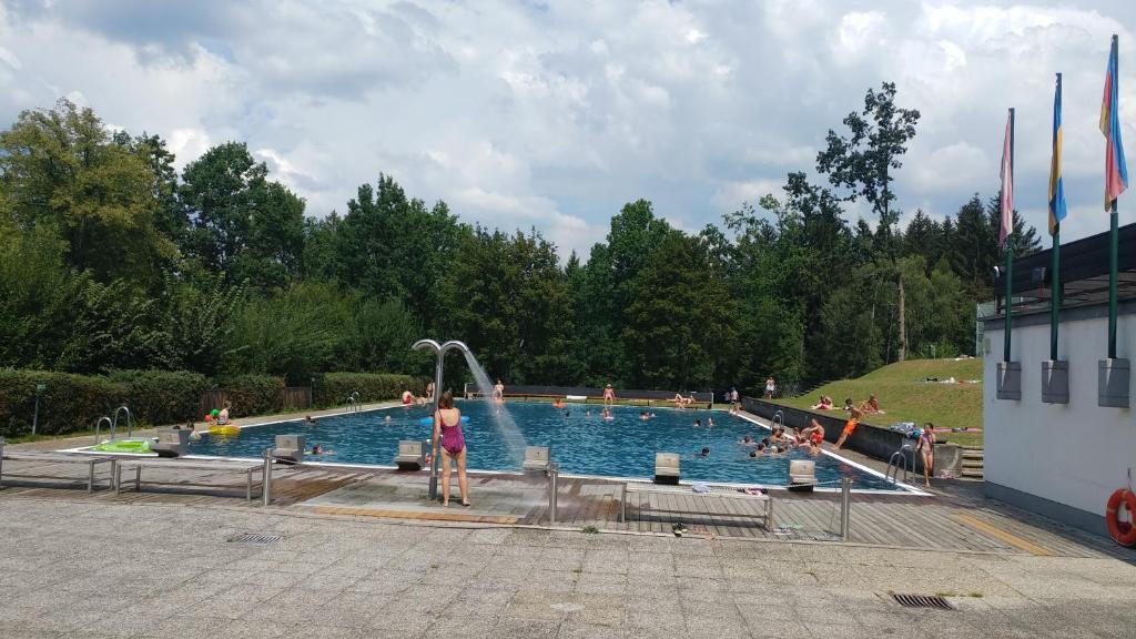Bazén v ubytování Haus Herrensee Litschau nebo v jeho okolí