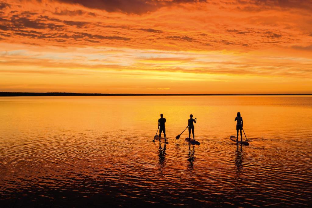 three people are paddle boarding in the water at sunset at Strandhotel Weißer Berg in Neustadt am Rübenberge