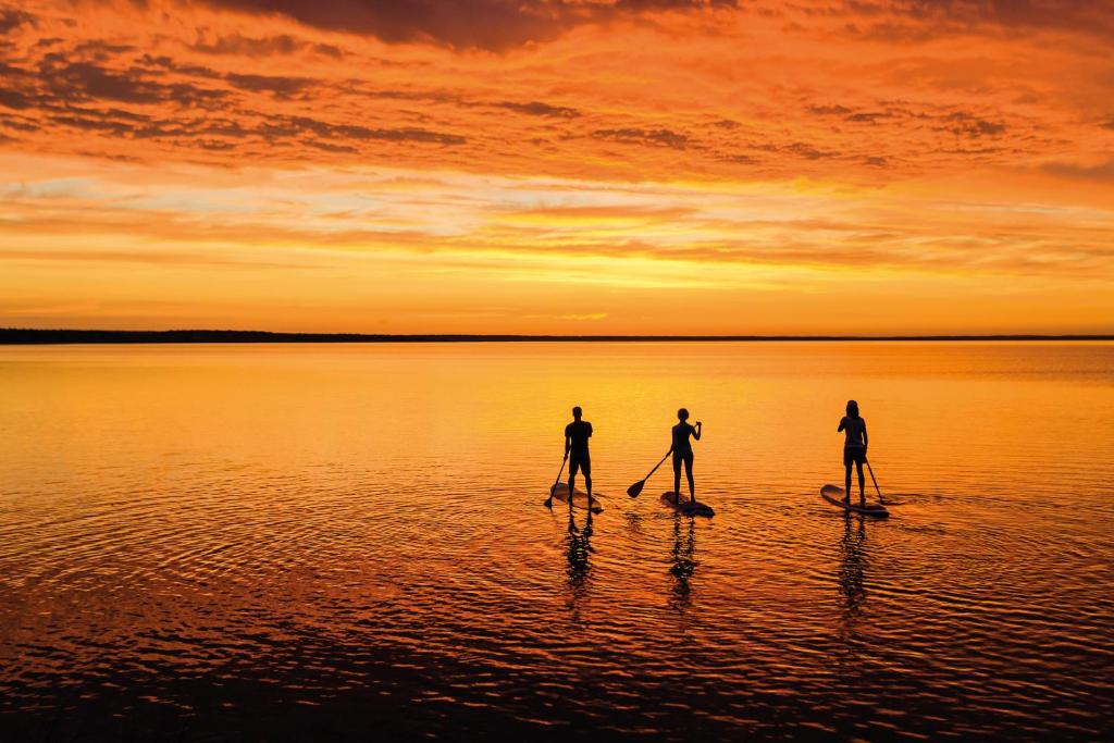 Drei Personen sind Paddle Boarding im Wasser bei Sonnenuntergang. in der Unterkunft Strandhotel Weißer Berg in Neustadt am Rübenberge