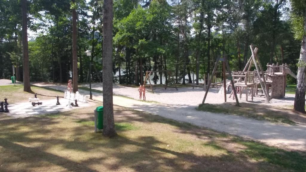 Herní místnost nebo prostor pro děti v ubytování Haus Herrensee Litschau