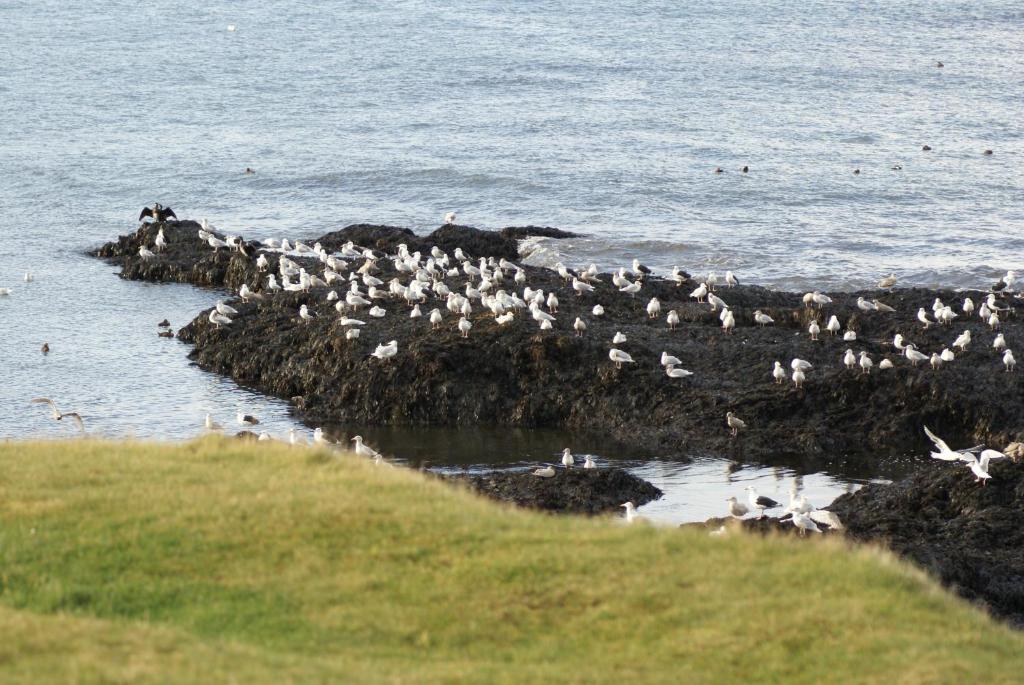 Paesaggio naturale nelle vicinanze dell'affittacamere