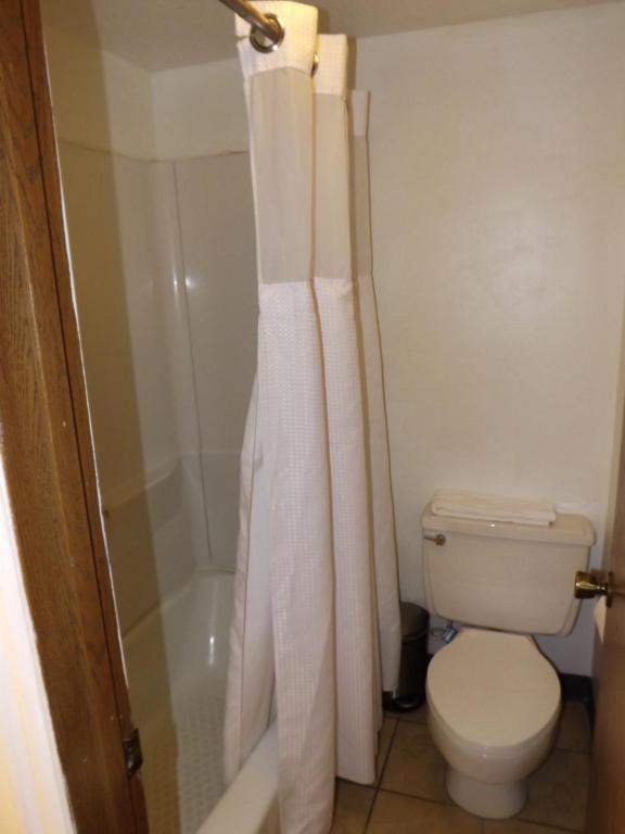 Koupelna v ubytování Sage Motel
