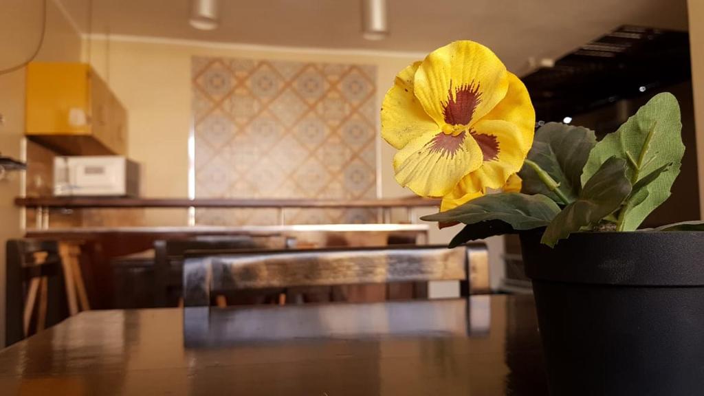 Fotografie z fotogalerie ubytování Jer`s Hostal v destinaci Tumbes