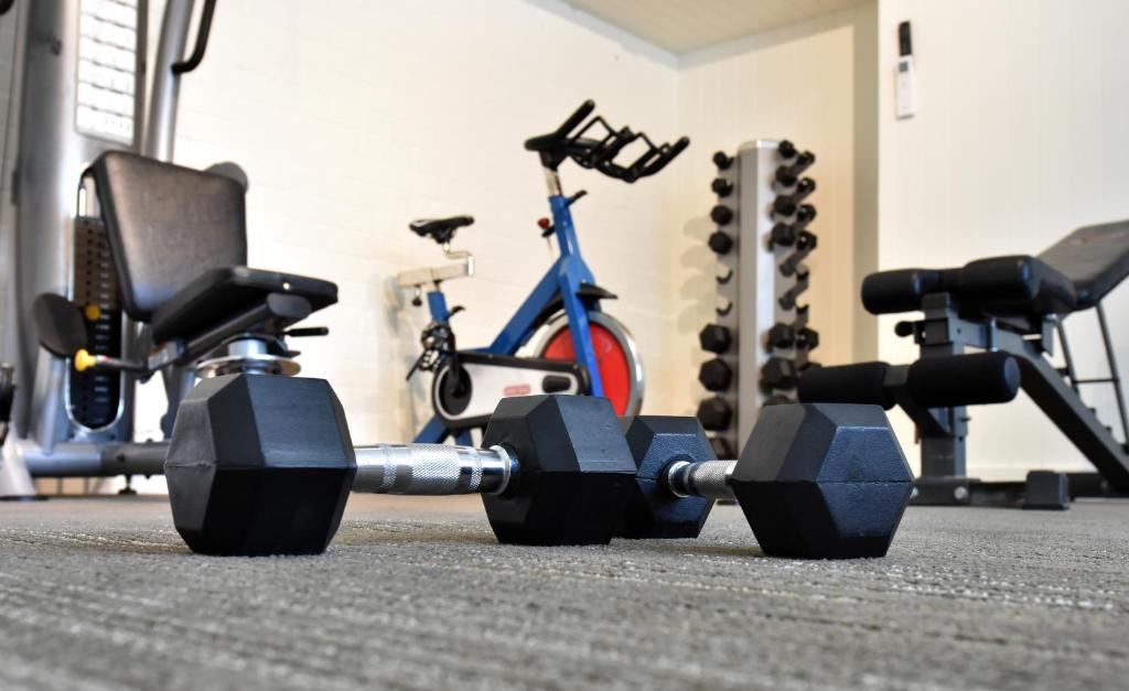 Fitness centrum a/nebo fitness zařízení v ubytování Hotel Nelson