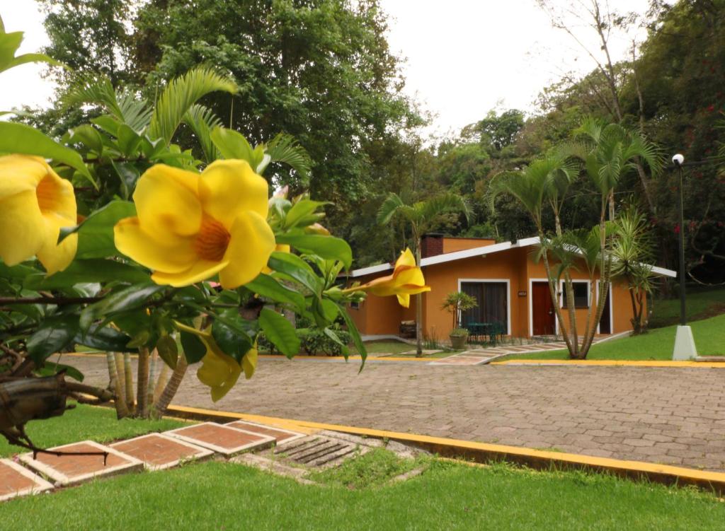 Zahrada ubytování Mision Los Cocuyos Alta Montana