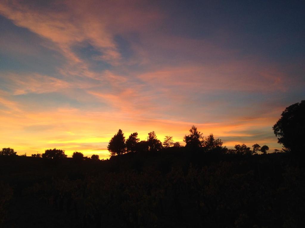 Agriturismo Pranu - Chambre Double Avec Salle De Bain Privée