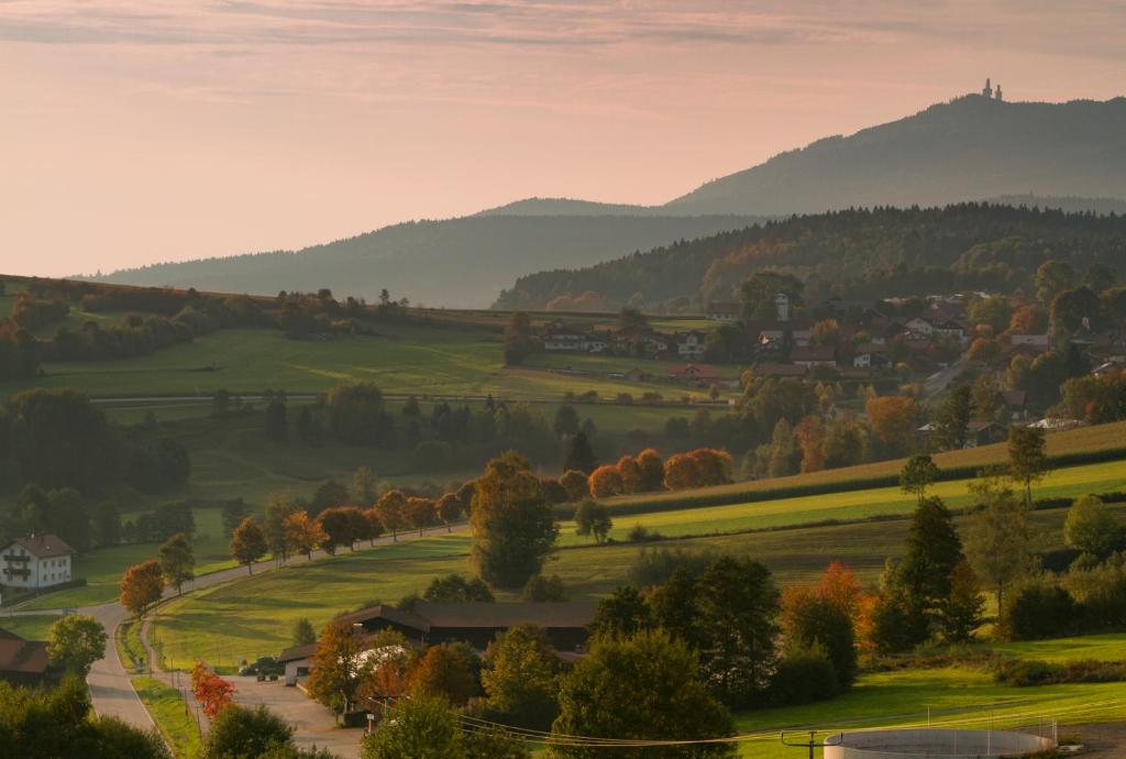 Blick auf ein Tal mit Bäumen und eine Straße in der Unterkunft Ferienhaus Bergesblick in Lam