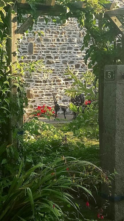 Zahrada ubytování Frenes B&B