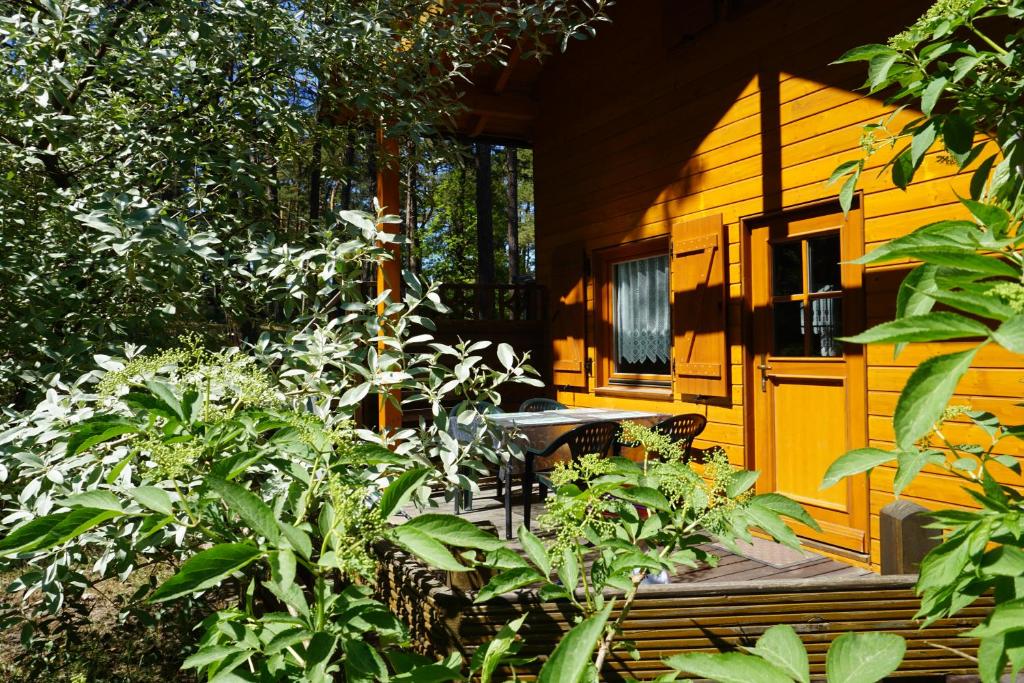 a porch of a cabin with a table and some plants at Ferienhaus "Seelöwe Baabe" in Baabe