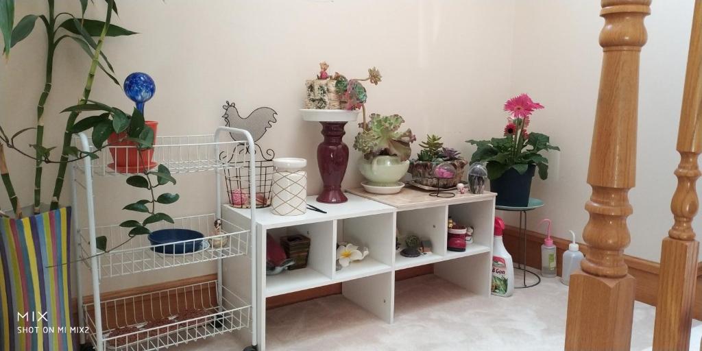 Helen's House / Close to Skytrain and Airport - Camera Singola Con Bagno Privato