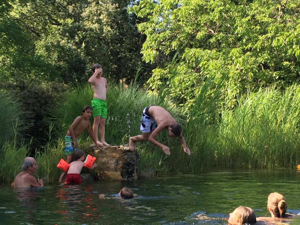 Eine Gruppe von Menschen springt von einem Felsen in einen Fluss in der Unterkunft Domaine du Fraysse Chantegrel le charme à l'etat pur in Saint-Cybranet