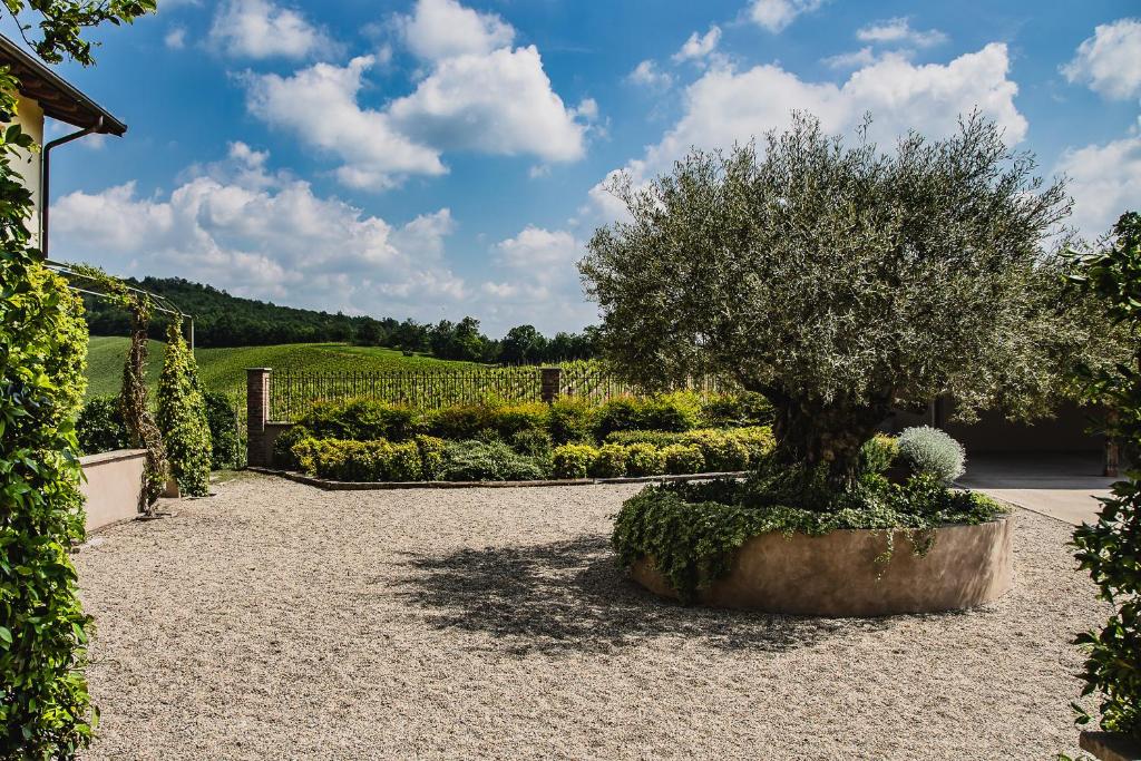 Zahrada ubytování Prime Alture Wine Resort