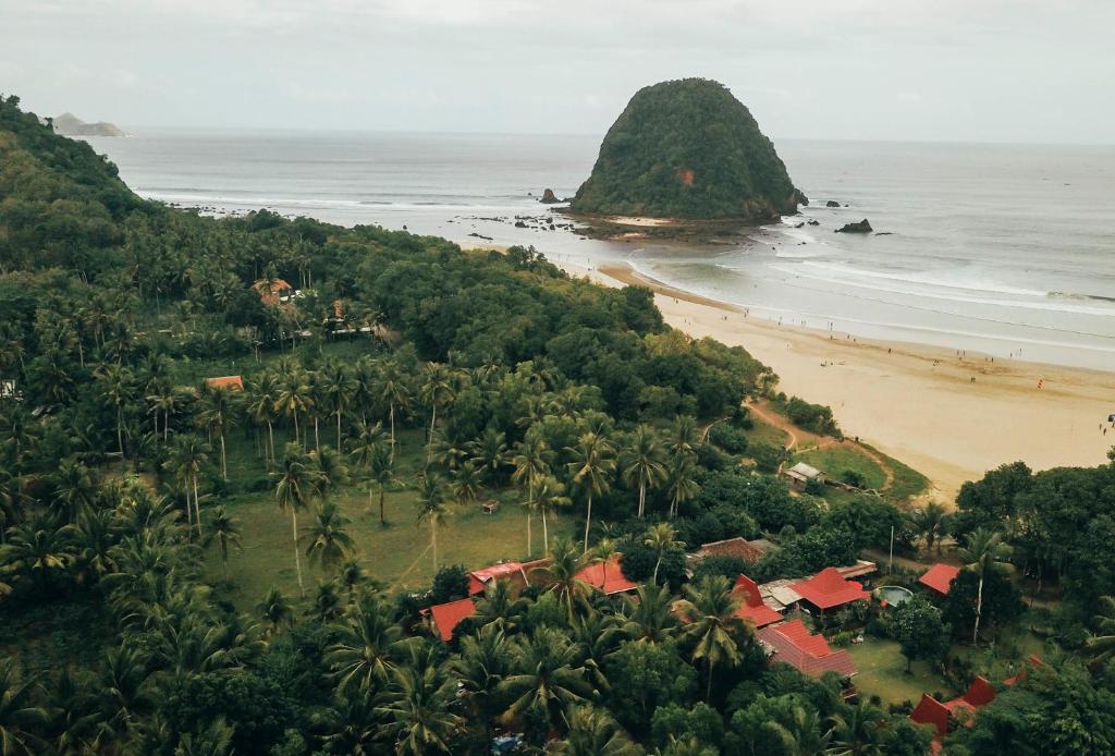 una vista aerea di una spiaggia con palme di Mojosurf Camp Red Island a Pasanggaran