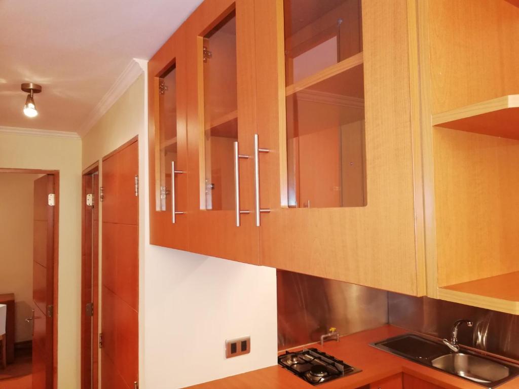 Kuchyň nebo kuchyňský kout v ubytování Andes Suites