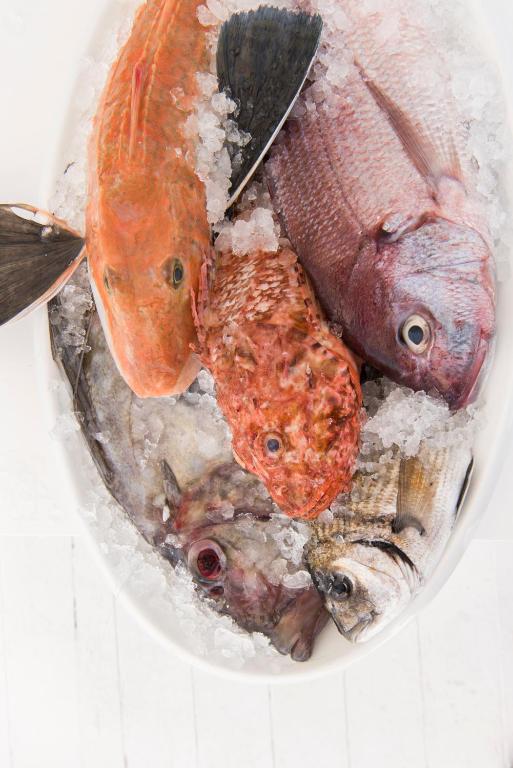 a pile of fish in a bowl of ice at La Peschiera in Monopoli