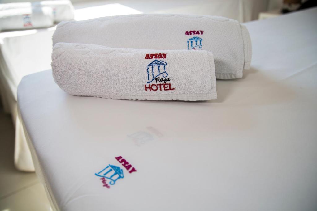  Assay Plaza Hotel