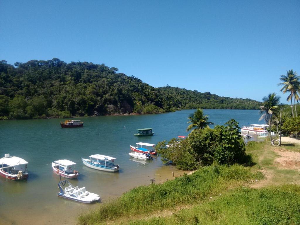  Chalé das Palmeiras
