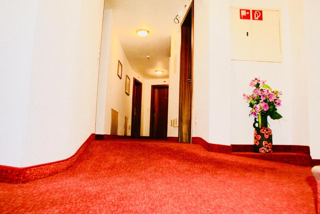 Fotografie z fotogalerie ubytování Hotel du Pont v destinaci Brig