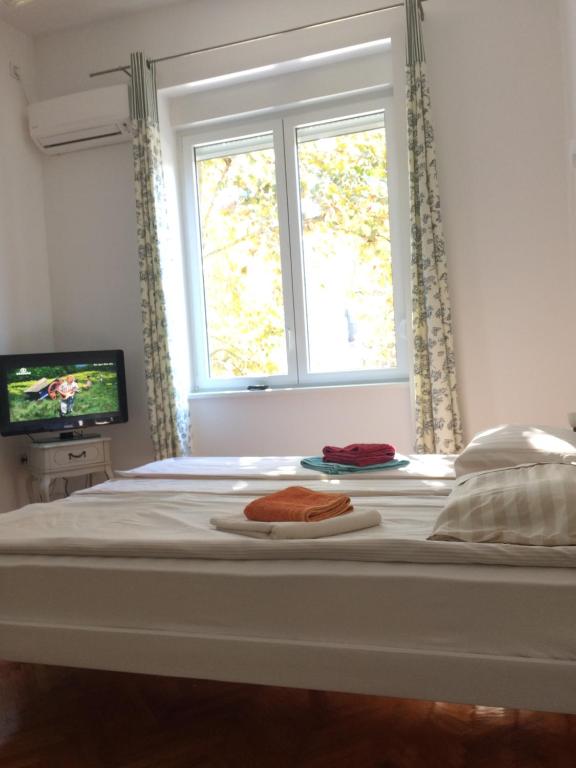 a bedroom with a bed with a window and a television at Cricket Park Hostel in Belgrade