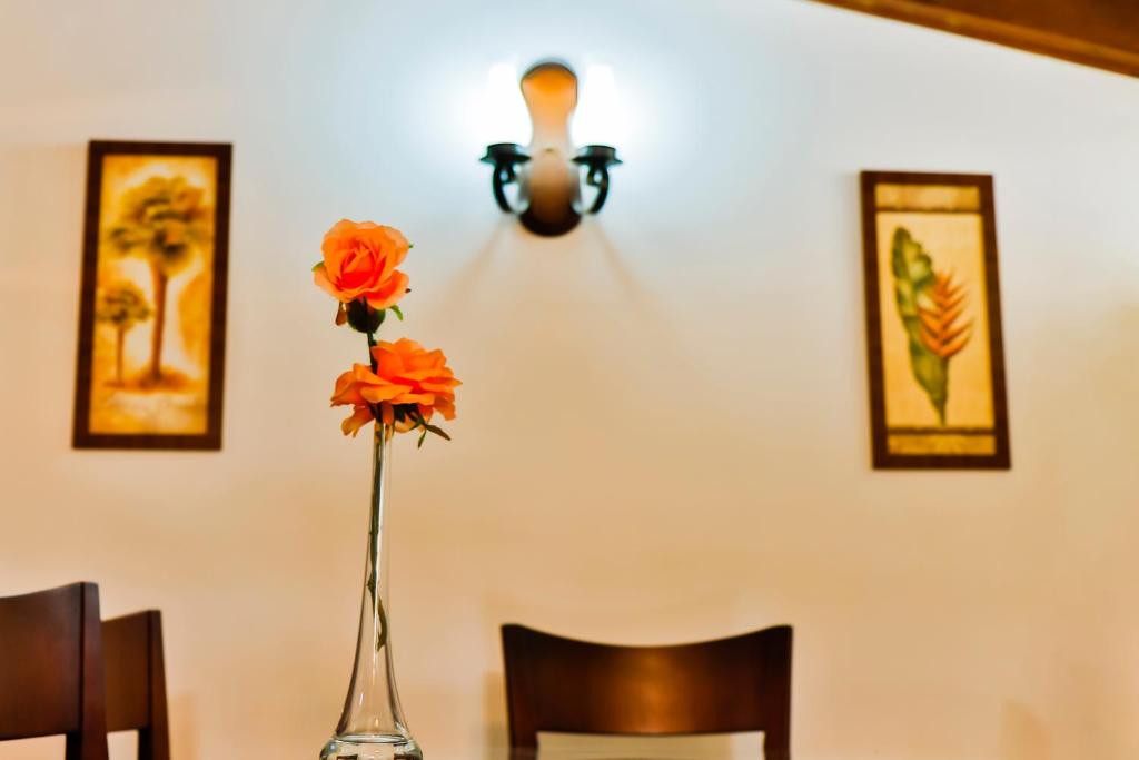 Suítes Belvedere  Suítes Belvedere