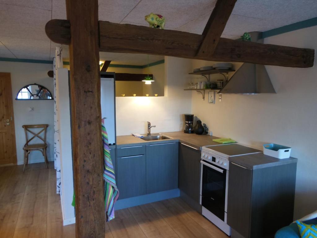 Kuchyň nebo kuchyňský kout v ubytování Nyager Apartments