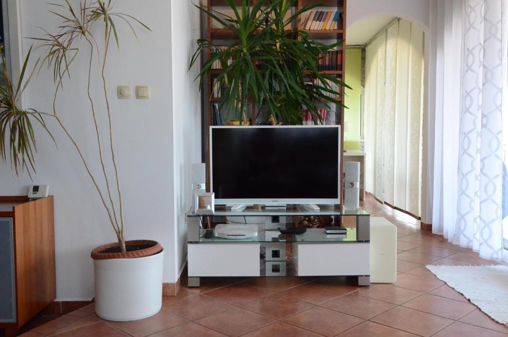Televízia a/alebo spoločenská miestnosť v ubytovaní Petra Hills