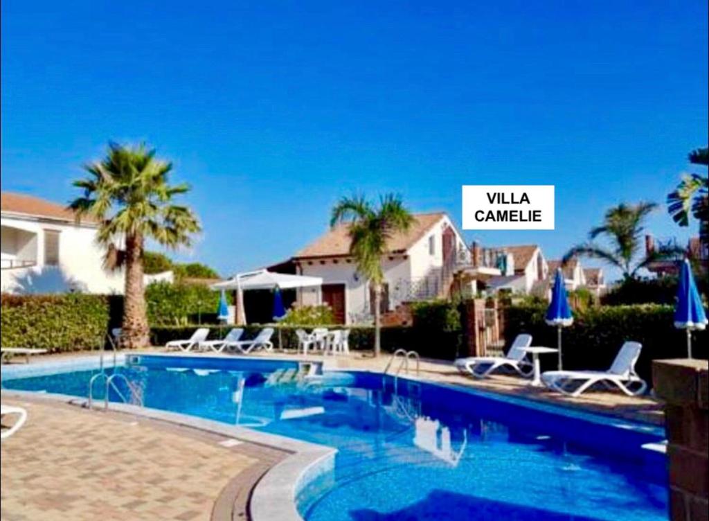 a villa with a swimming pool and palm trees at Villa Camelie in Campofelice di Roccella