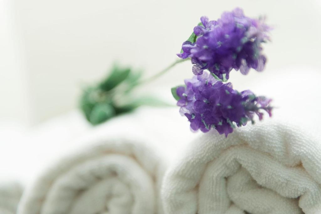 Un mazzo di fiori viola seduti sopra un asciugamano di Apartments Tanga a Rovigno (Rovinj)