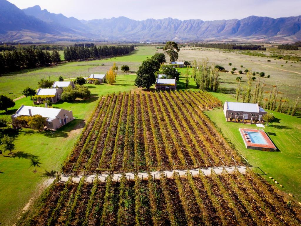 Photo de la galerie de l'établissement Saronsberg Vineyard Cottages, à Tulbagh