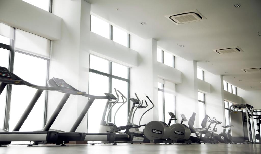 Fitness centrum a/nebo fitness zařízení v ubytování The Snowbell Hotel