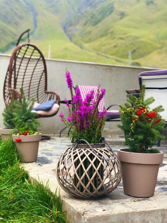 Zahrada ubytování OISHE Boutique Hotel