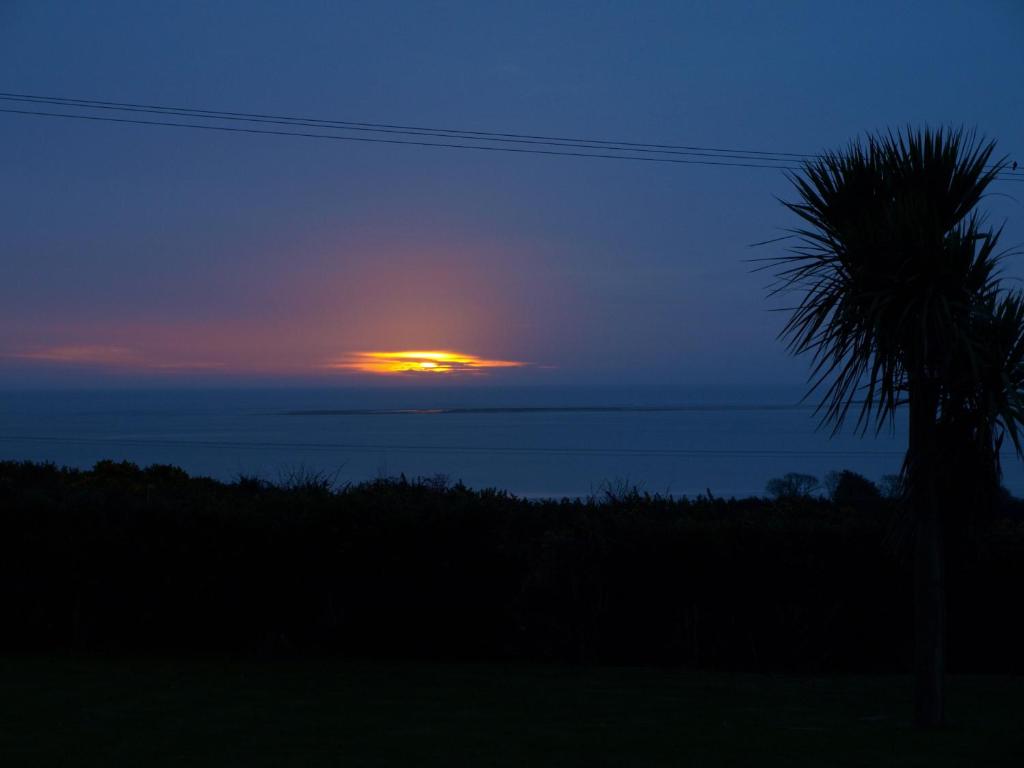a sunset over the ocean with a palm tree at ocean view in Wexford